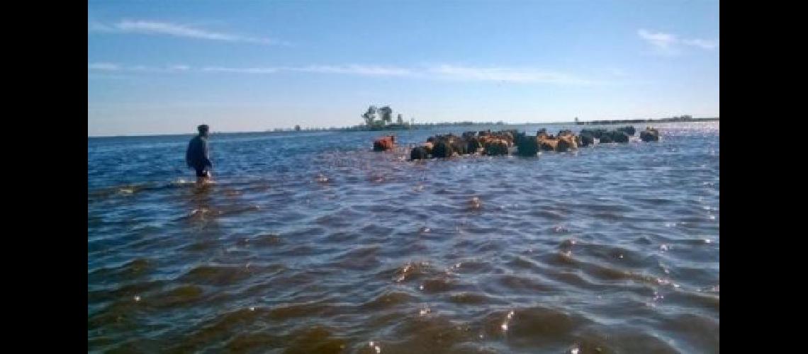 Secar el barro uacutenica forma de tener tierra seca en General Villegas