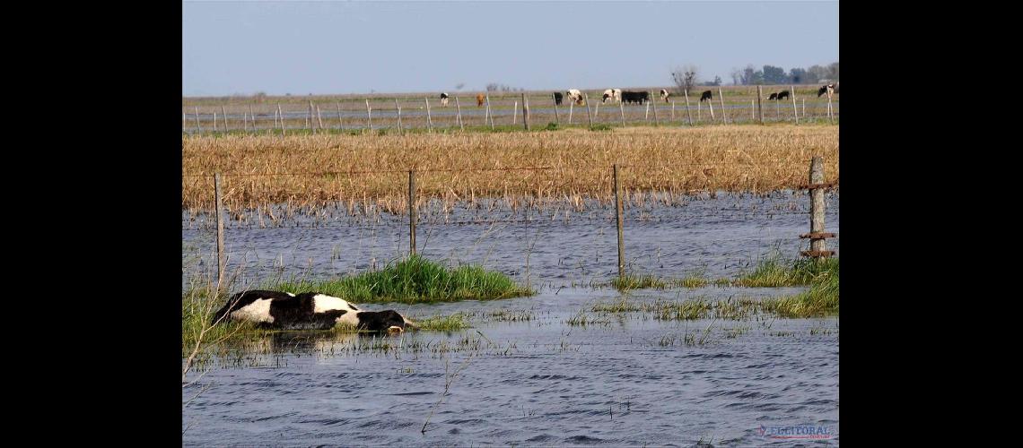 Inundaciones- le piden a la Provincia un plan de obras