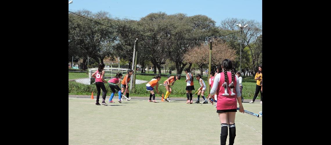 Piden donaciones de palos de hoacuteckey para chicas del interior
