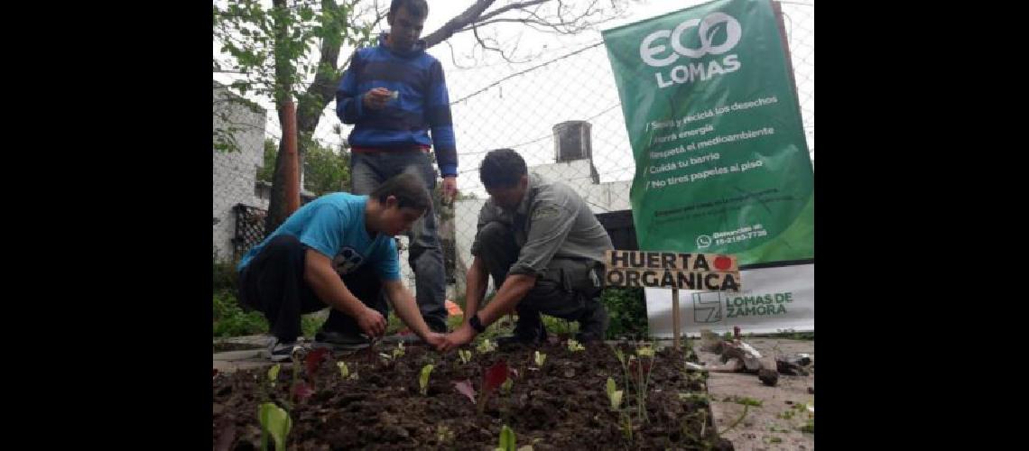Talleres ambientales todas las semanas