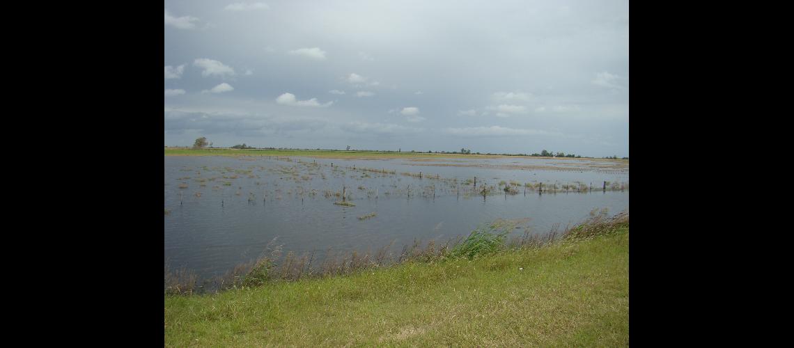 Provincia- cayeron las exportaciones