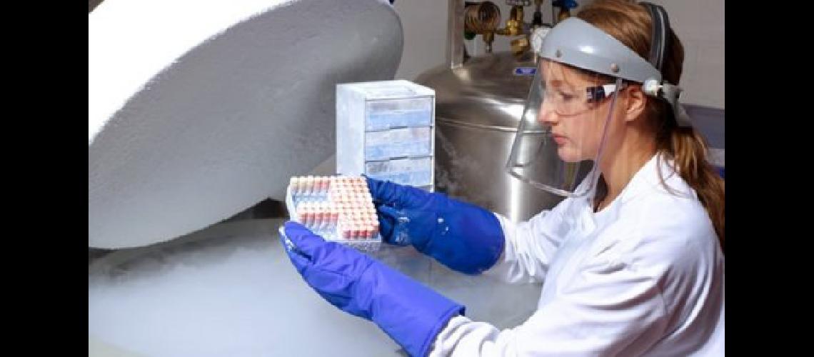 Congelar los oacutevulos clave para preservar la fertilidad femenina