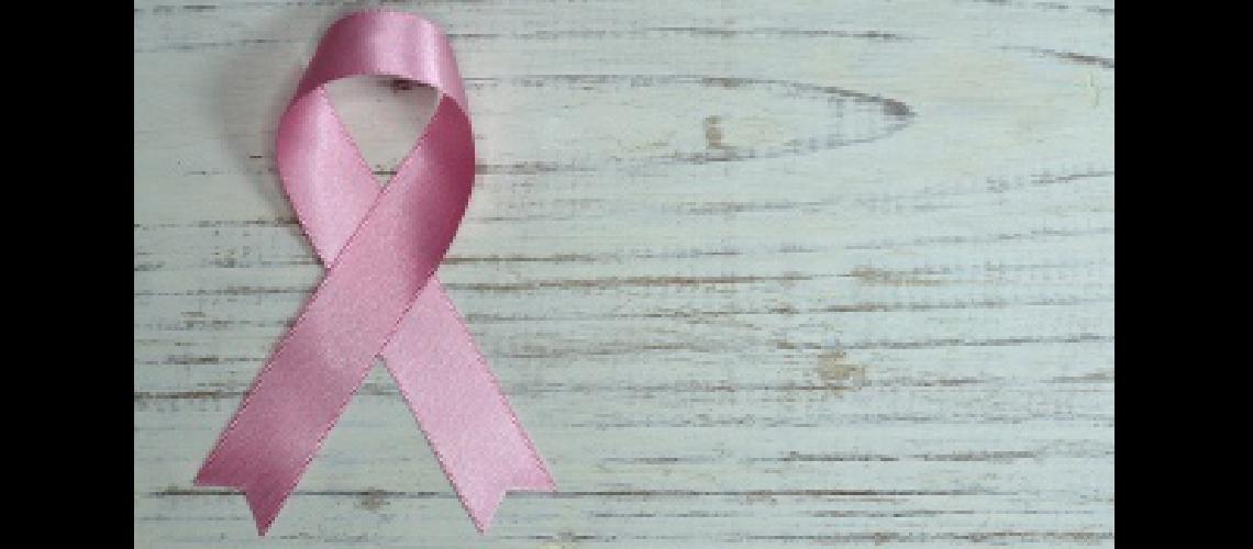 Mujeres recuperadas del caacutencer de mama la siguen remando en un barco