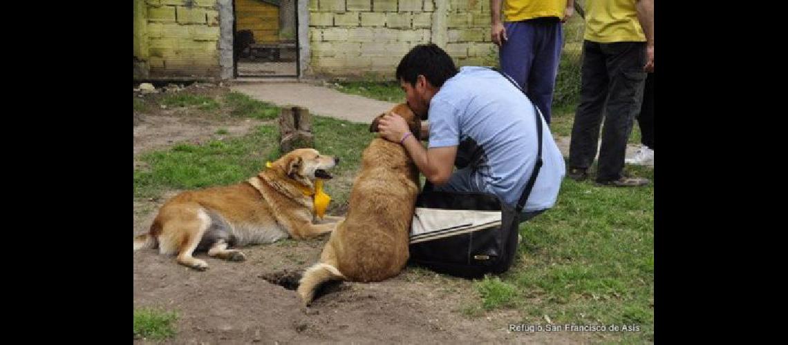 Uacuteltimo diacutea para visitar a los perros