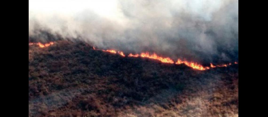 Varias dotaciones de bomberos combaten un incendio forestal en el norte de Coacuterdoba