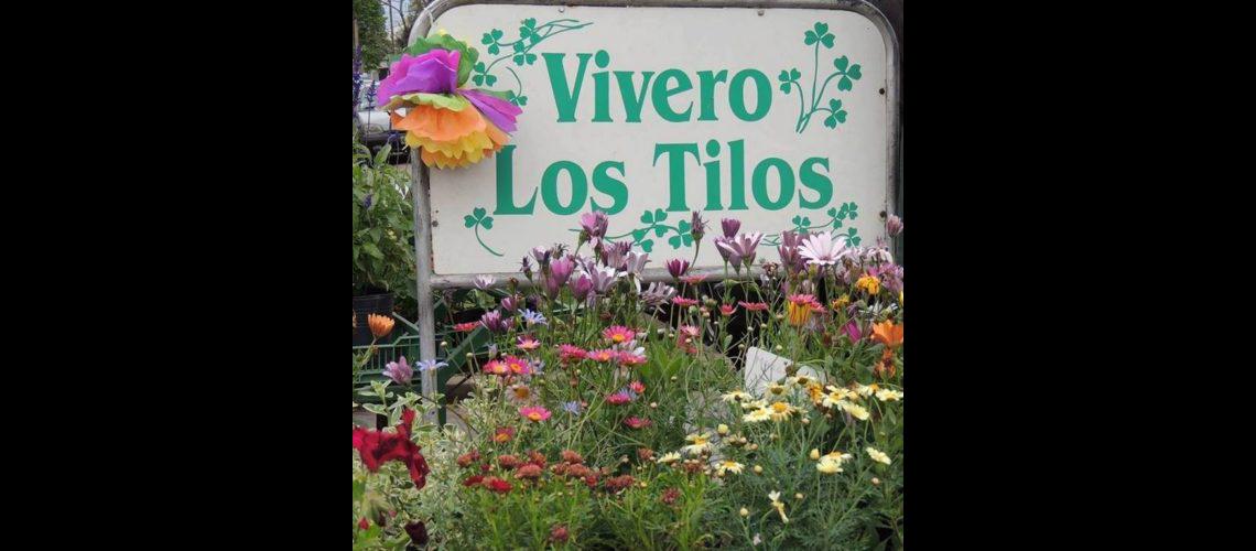 Los Tilos realiza su 8deg feria artesanal