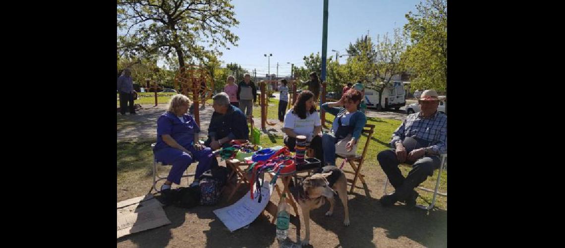 Zoonosis llega hoy a la Plaza Grigera