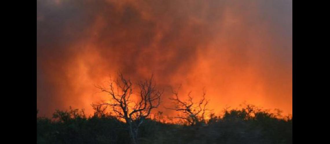 Al menos 600 viviendas evacuadas por un incendio forestal en California