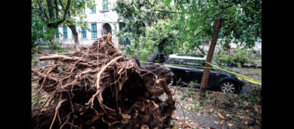 Un temporal de lluvia y vientos en Misiones dejoacute mas de un centenar de viviendas sin techo y a varias localidades sin electricidad