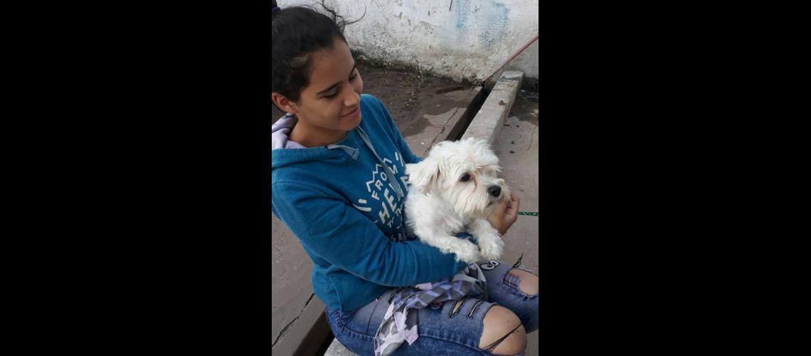 Zoonosis- atienden a las mascotas gratis