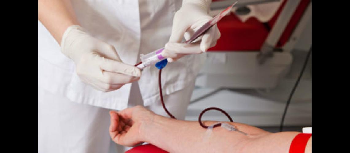 Llega la primera campantildea de donacioacuten de sangre del antildeo
