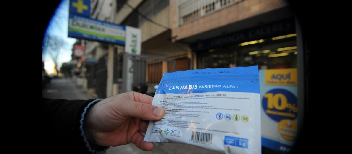 Uruguay preveacute incorporar expendios de marihuana en el primer semestre del antildeo