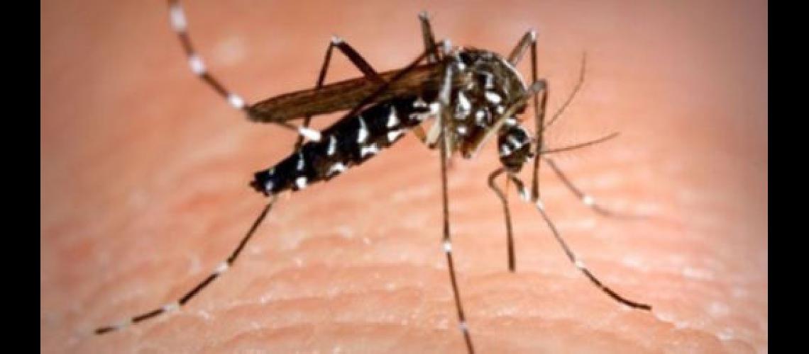 Arrancan las capacitaciones sobre dengue en las unidades sanitarias de Lomas