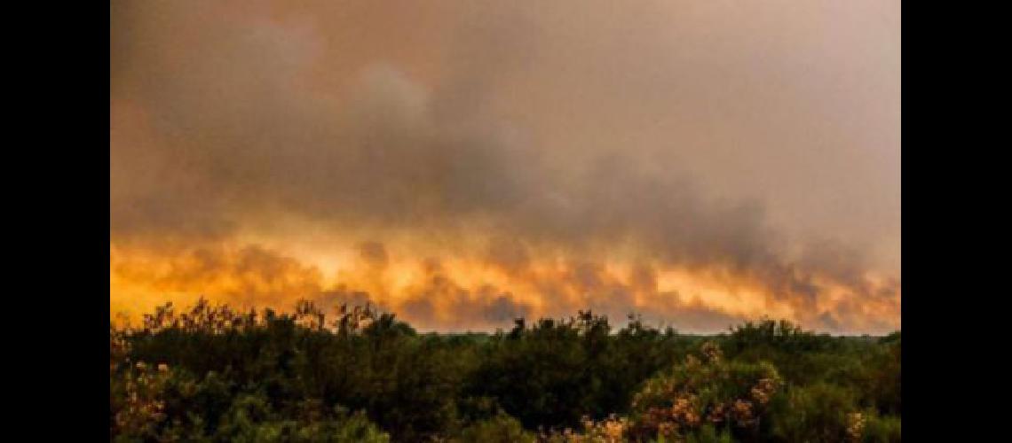 Continuacutean los incendios en el Sur mendocino pero aseguran que la situacioacuten es maacutes alentadora