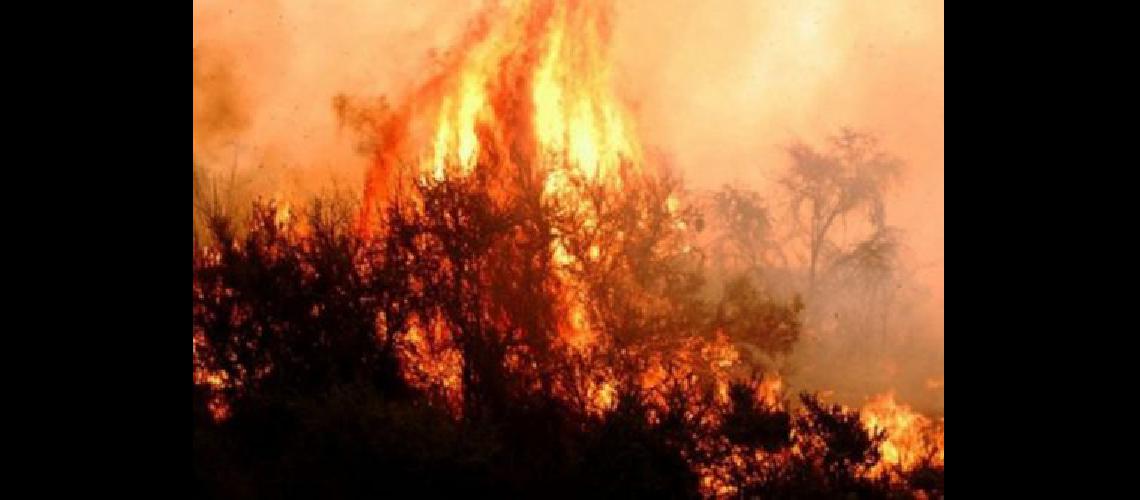 Siguen activos los incendios en el Parque Nacional Lihueacute Calel de La Pampa