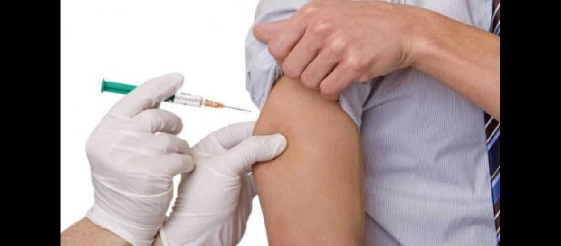Recomendaciones de vacunacioacuten contra la fiebre amarilla en viajeros a Brasil