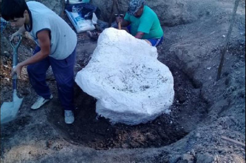 Encontraron restos de un gliptodonte en Buenos Aires
