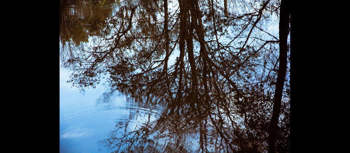 Proponen un viaje fotograacutefico entre las miacutesticas islas del Delta