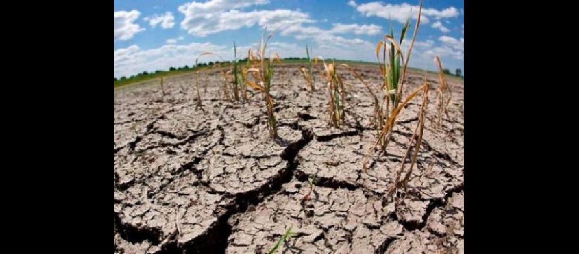El drama rural ante la falta de agua