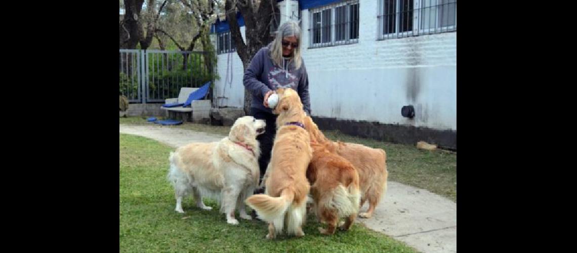 Comenzaron las sesiones de terapia asistida con animales