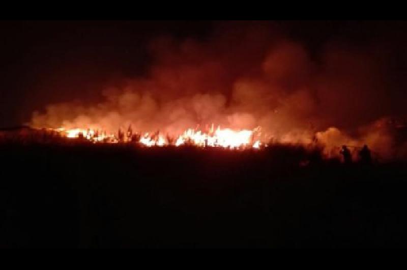 Los bomberos de Lomas y Echeverriacutea colaboraron en el incendio originado en Ezeiza