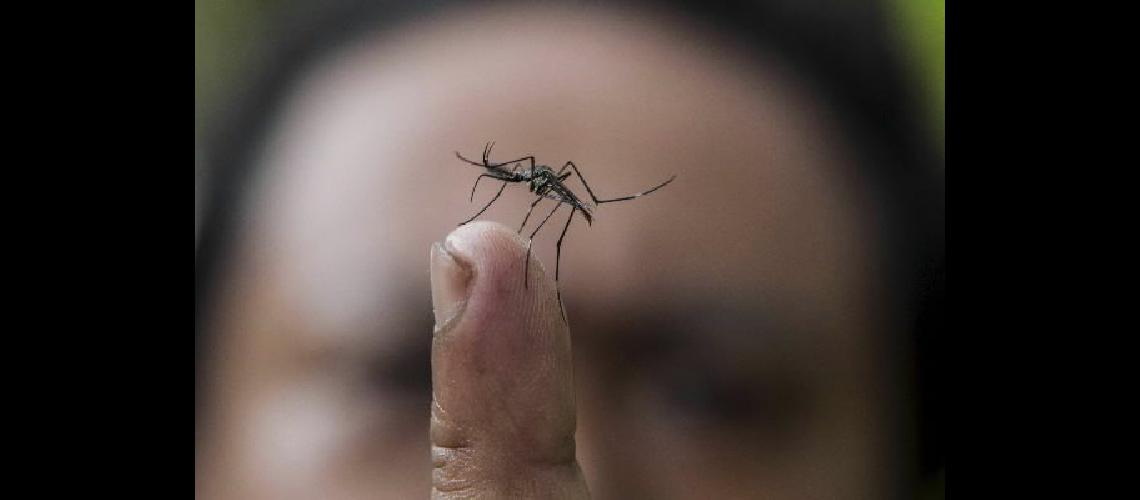 Aumentaron los casos de dengue en la Ciudad de Buenos Aires