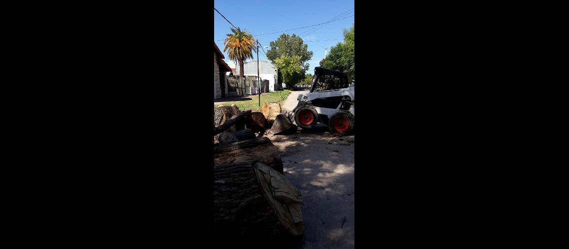Arroyo del Rey- avanzan las obras de limpieza del Municipio de Lomas