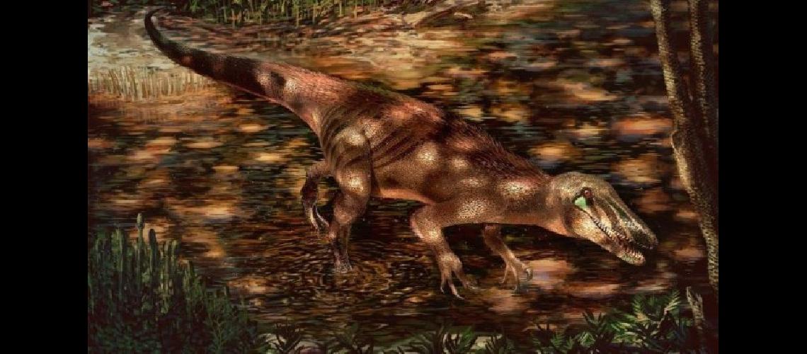 Descubrieron el esqueleto de un dinosaurio carniacutevoro