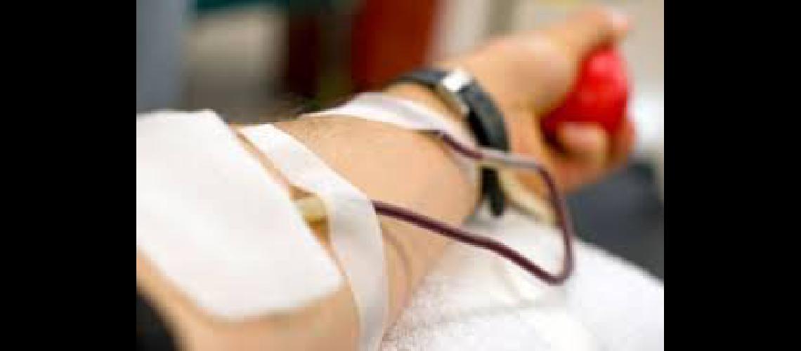 Donacioacuten voluntaria de sangre en Adrogueacute
