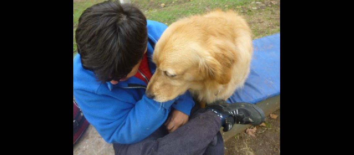 Terapia con perros una opcioacuten para estimular asistir y generar viacutenculos