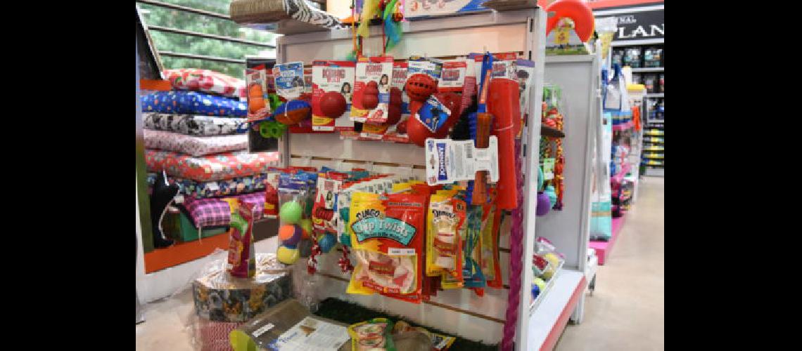 Golosinas correas y juguetes lo maacutes elegido para regalar a las mascotas