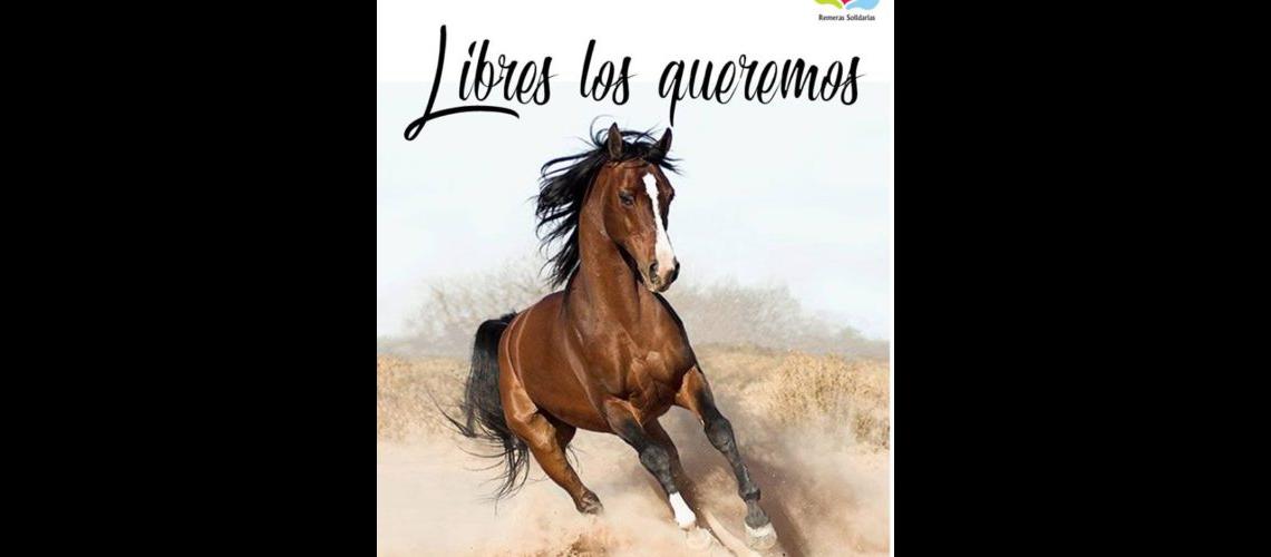 Venden remeras para ayudar a una ONG protectora de caballos