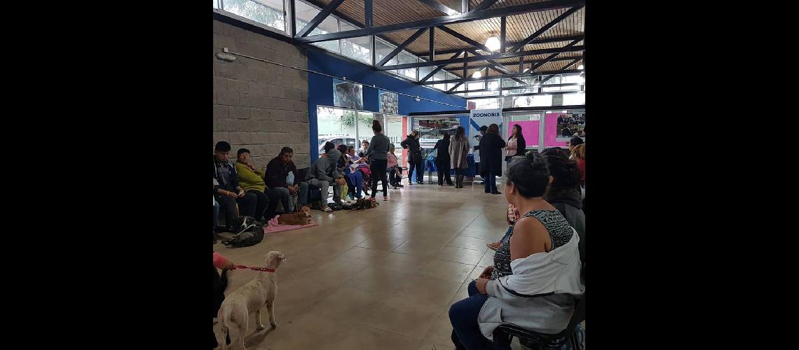 Ya funciona la nueva posta de Zoonosis en Santa Catalina