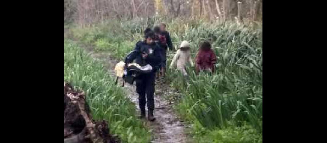 Rescatan a cinco hermanitos de una zona boscosa de Ensenada