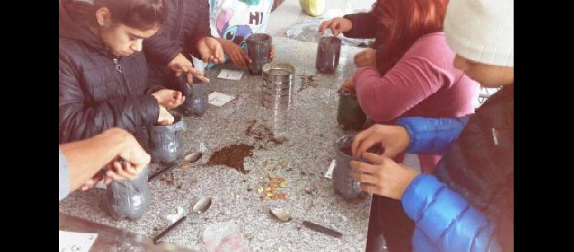 Alumnos de Lomas aprenden a desarrollar huertas