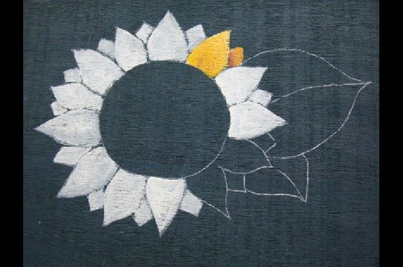 Girasoles sobre zinc