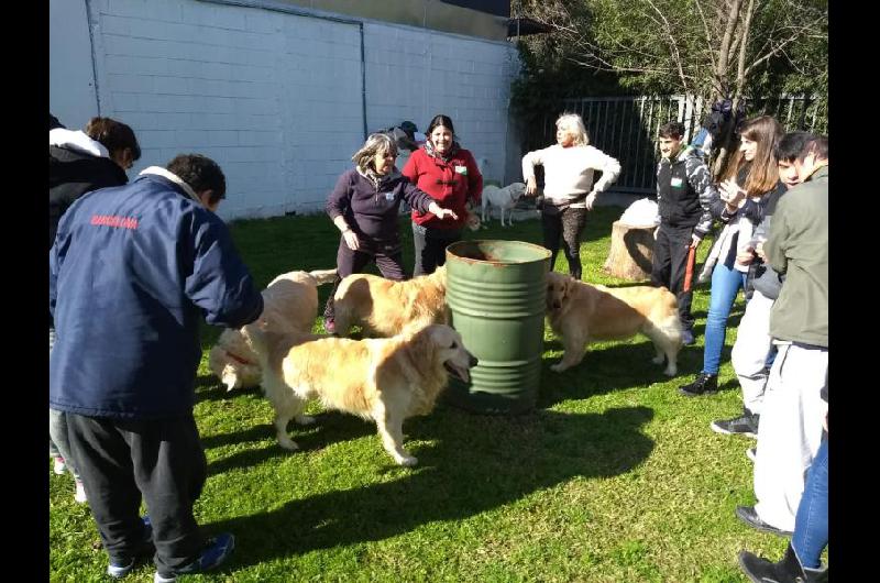 Maacutes vecinos de Lomas mejoran su salud interactuando con mascotas