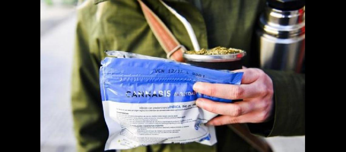 La marihuana se vende en sobres sellados de 5 gramos a razoacuten de 140 doacutelares el gramo