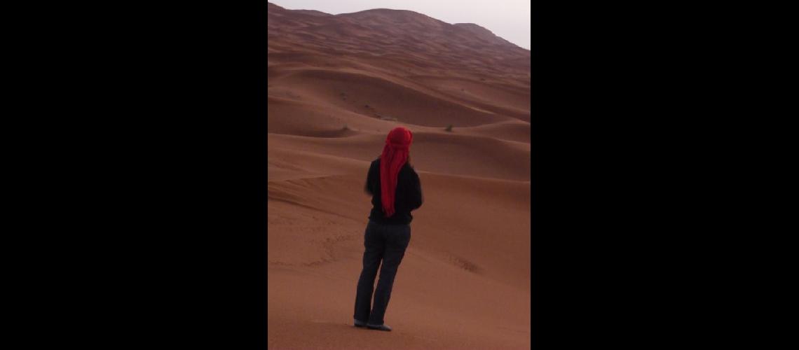 Tras la lluvia el Sahara amanecioacute dorado y riacutegido
