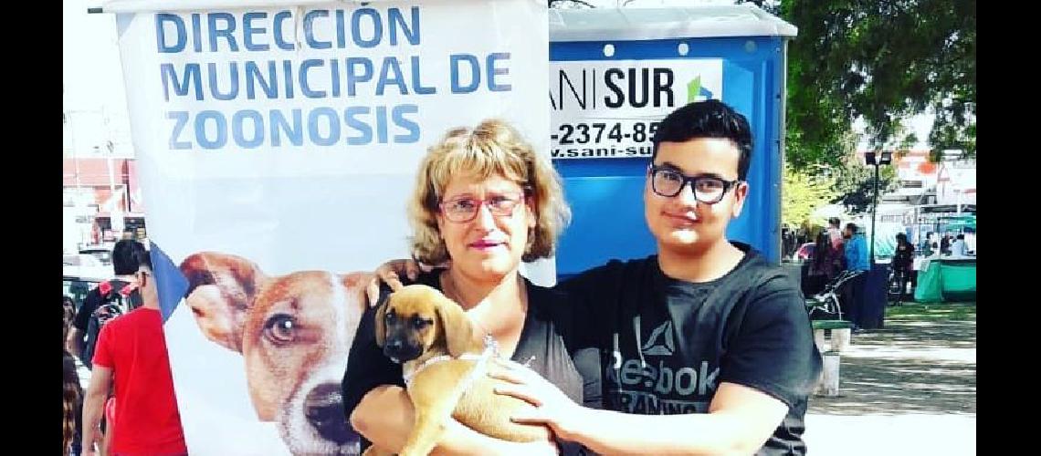 perros y vecinos una imagen que se repite en las delegaciones