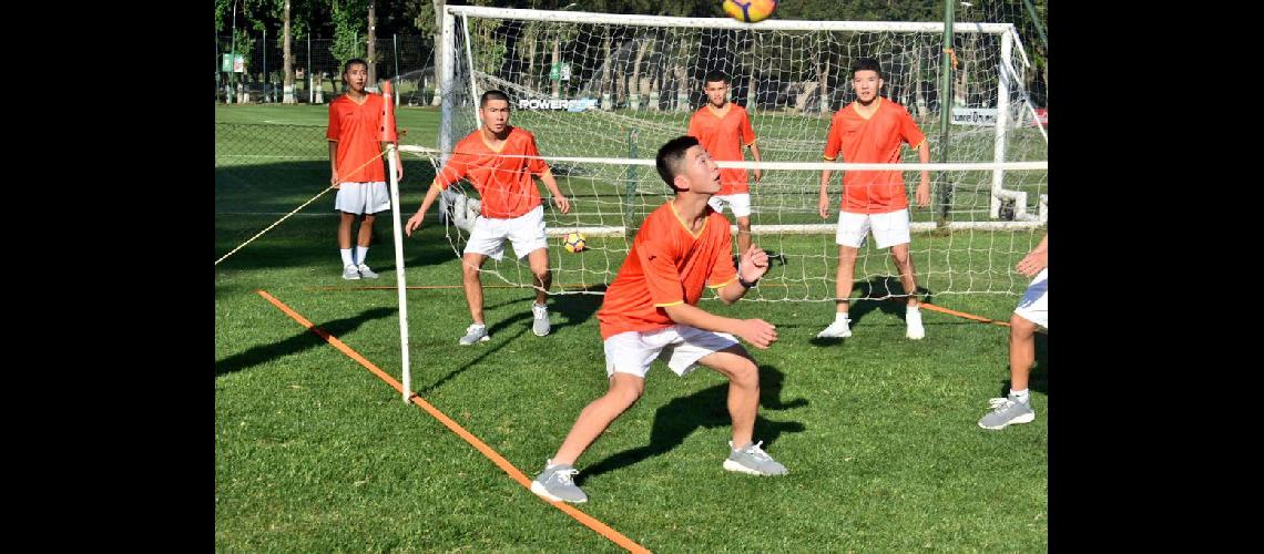 Los juveniles chinos ya trabajan en el predio