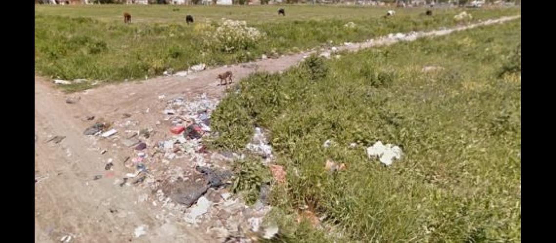 Misterioso hallazgo- encontraron restos humanos en un baldiacuteo del barrio La Yaya