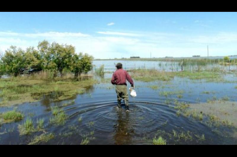 Declaran la emergencia agropecuaria en las provincias afectadas por las inundaciones