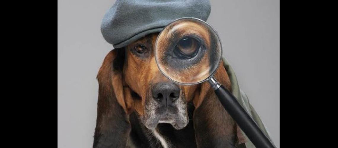 Nat Geo estrena ldquoBuscadores de mascotasrdquo