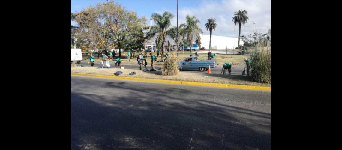 Eco Lomas- avanza la limpieza y renovacioacuten de distintos barrios
