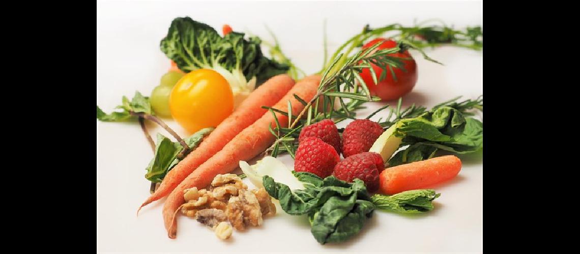 Lleva al cuerpo a consumir la grasa acumulada como fuente de energiacutea manteniendo la masa muscular
