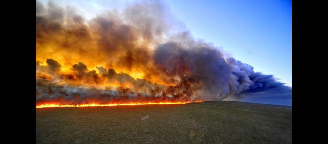La selva amazoacutenica arde y crece la criacutetica mundial a Bolsonaro