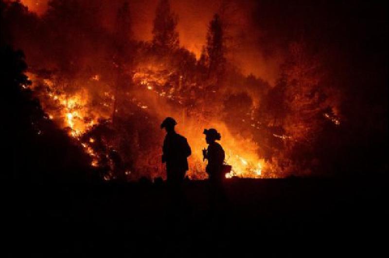 Unos 400 bomberos argentinos se ofrecieron para combatir los incendios en el Amazonas