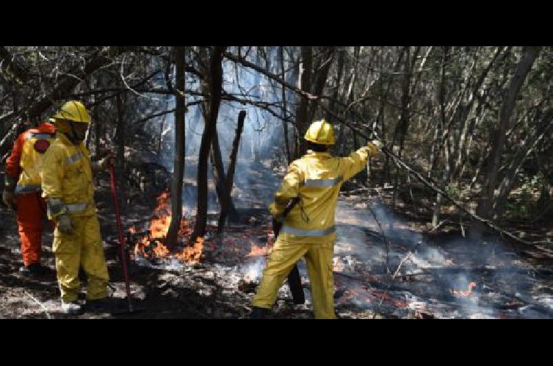 el viento es lo que no ayuda para terminar con los focos de incendio 