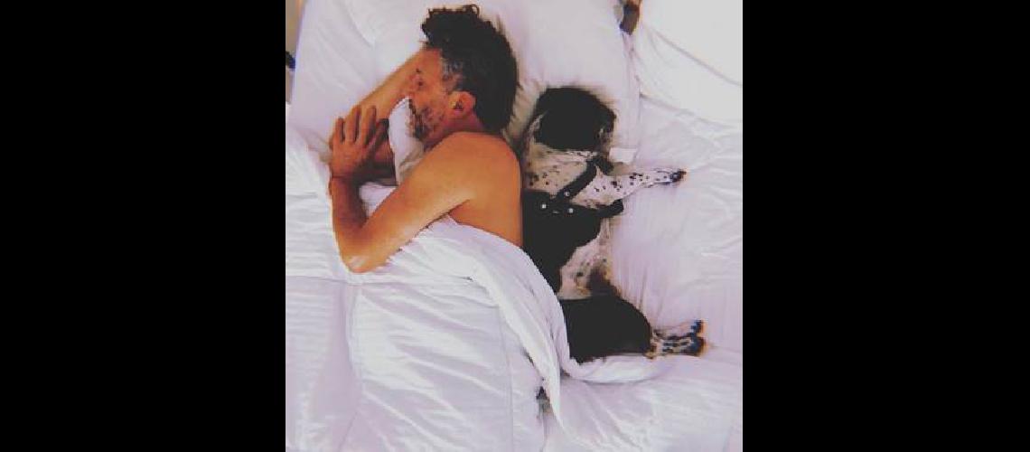 Amores perros